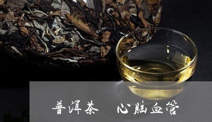 普洱茶 心脑血管/2023041047437